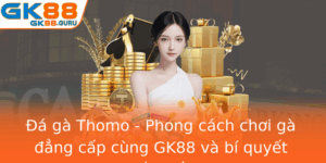 A Ga Thomo Phong Cach Choi Ga Ang Cap Cung Gk88 Va Bi Quyet Chien Thang