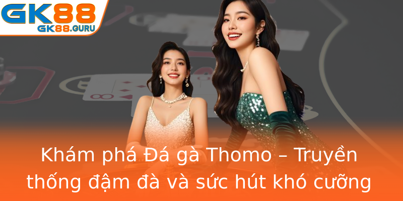 Khám phá Đá gà Thomo – Truyền thống đậm đà và sức hút khó cưỡng