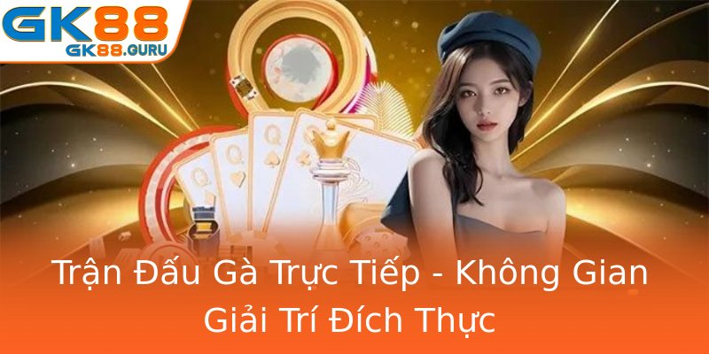Trận Đấu Gà Trực Tiếp - Không Gian Giải Trí Đích Thực