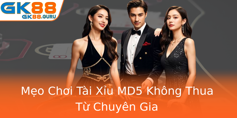 Mẹo Chơi Tài Xỉu MD5 Không Thua Từ Chuyên Gia
